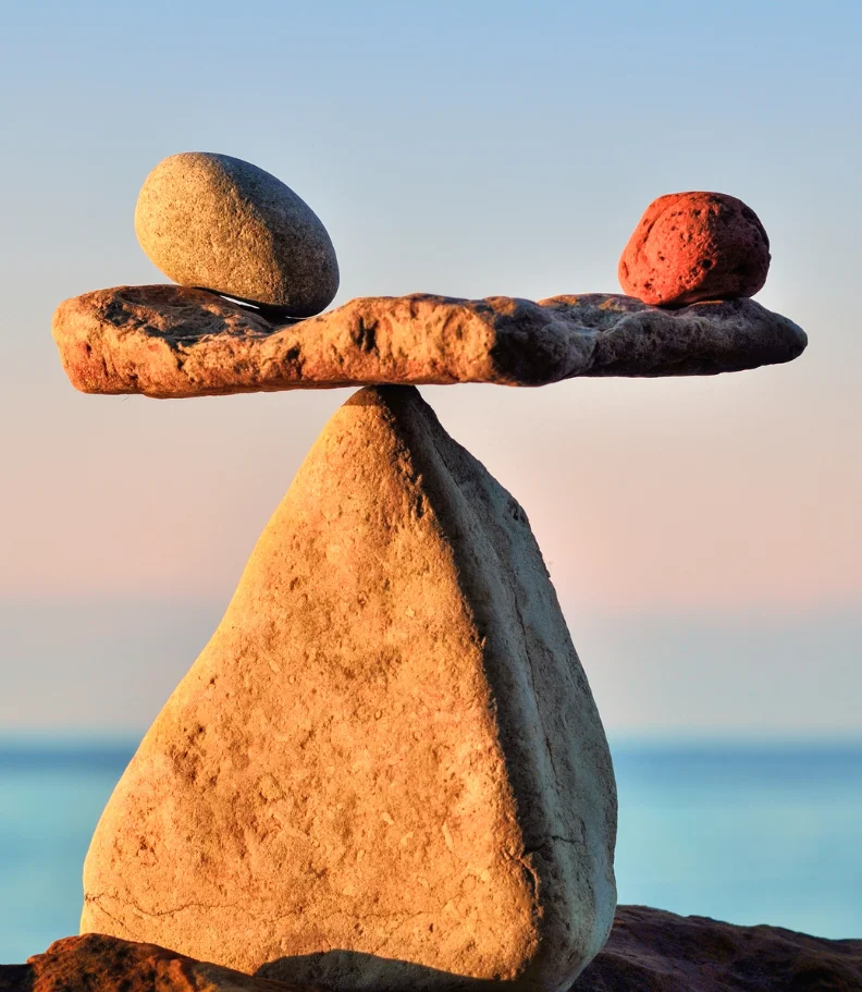 Wellness Care in Cary